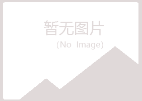 山东字迹能源有限公司